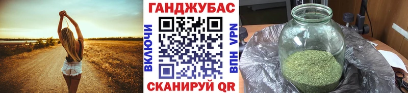 Купить закладки  Закаменск  Конопля сатива 