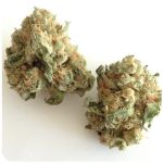 Шишки "White Widow"  (Белая вдова)  Гидропоника -  Бошка VHQ в Закаменске